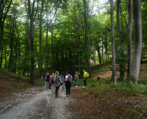 Ausflug_12
